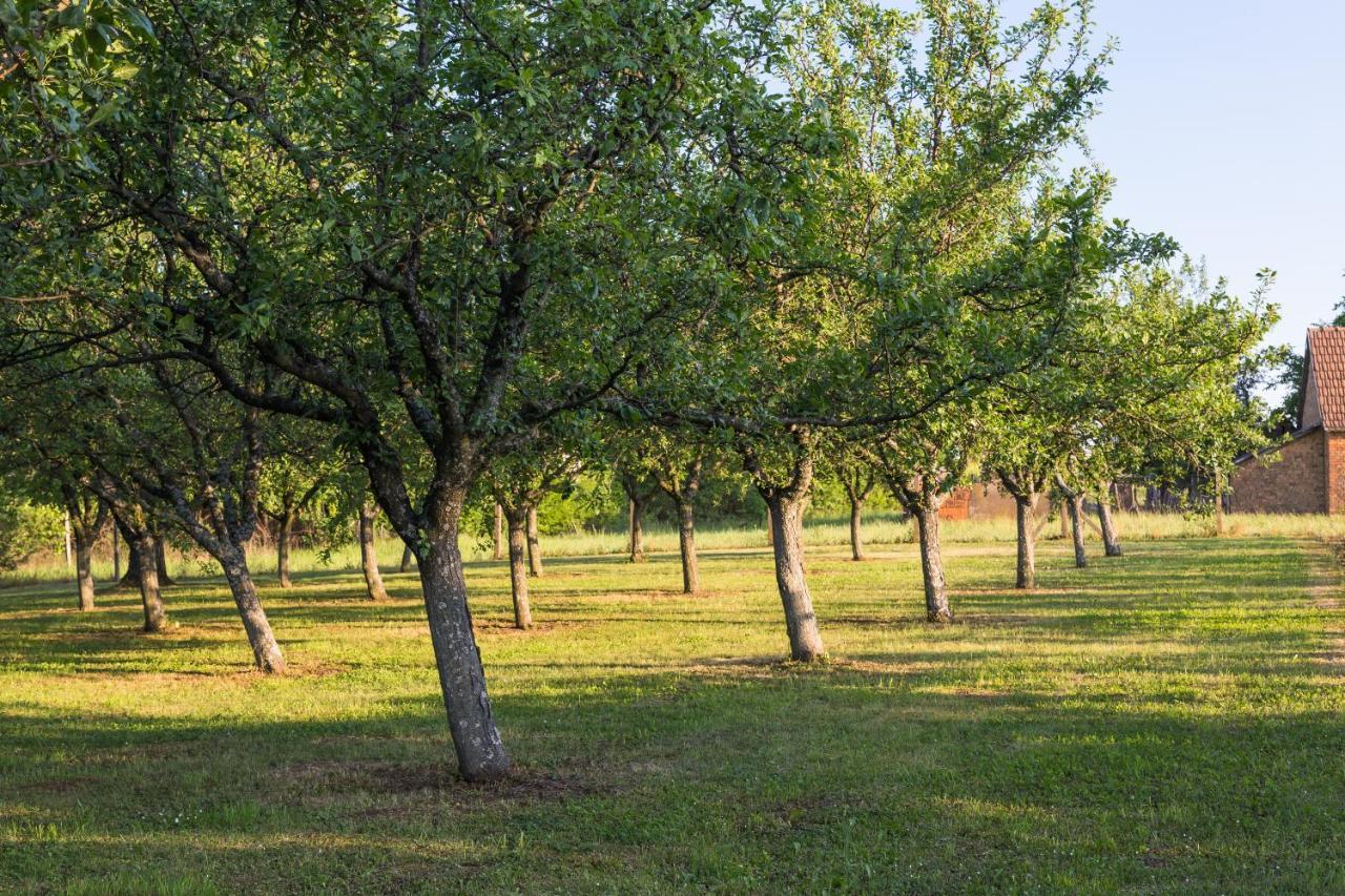 Village Wine House Mandicevac Экстерьер фото