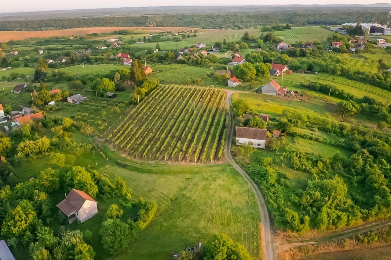 Village Wine House Mandicevac Экстерьер фото