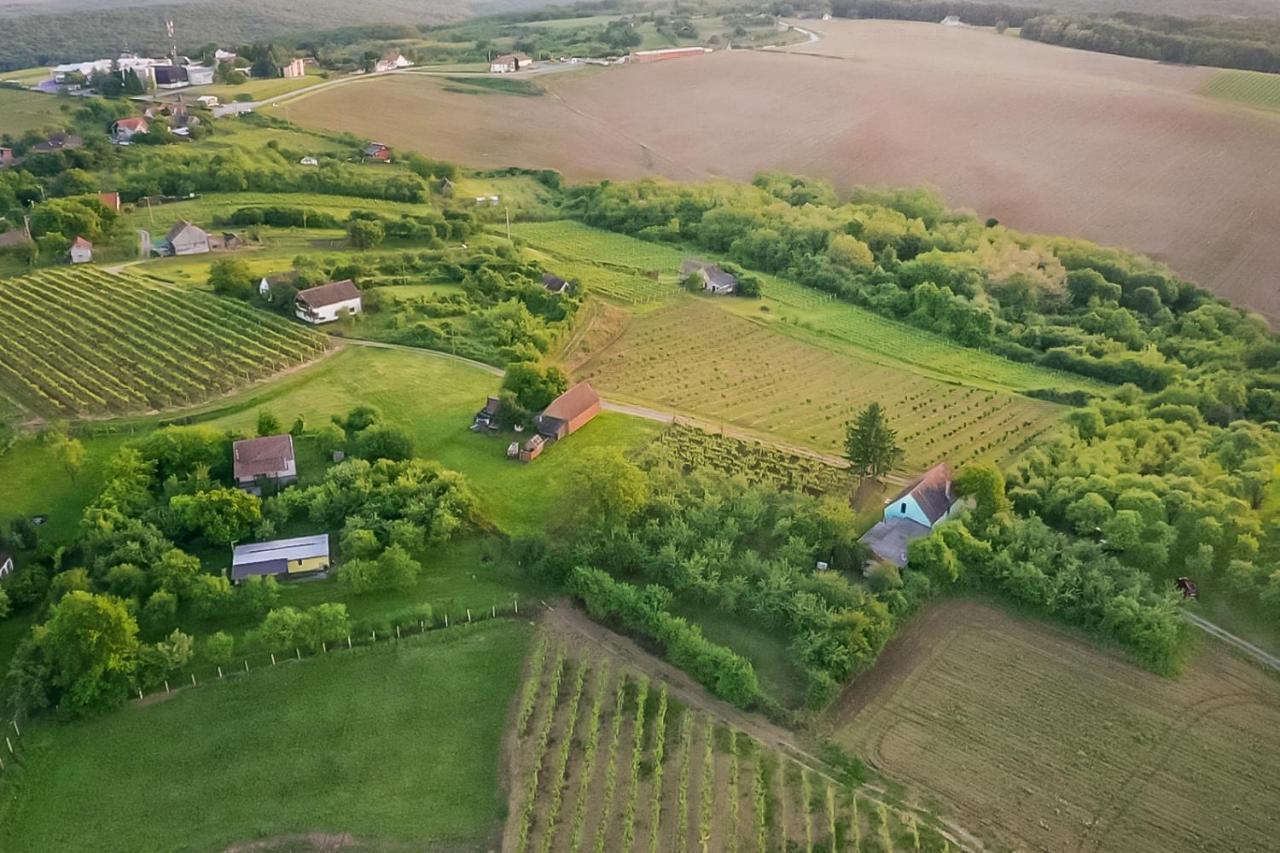 Village Wine House Mandicevac Экстерьер фото