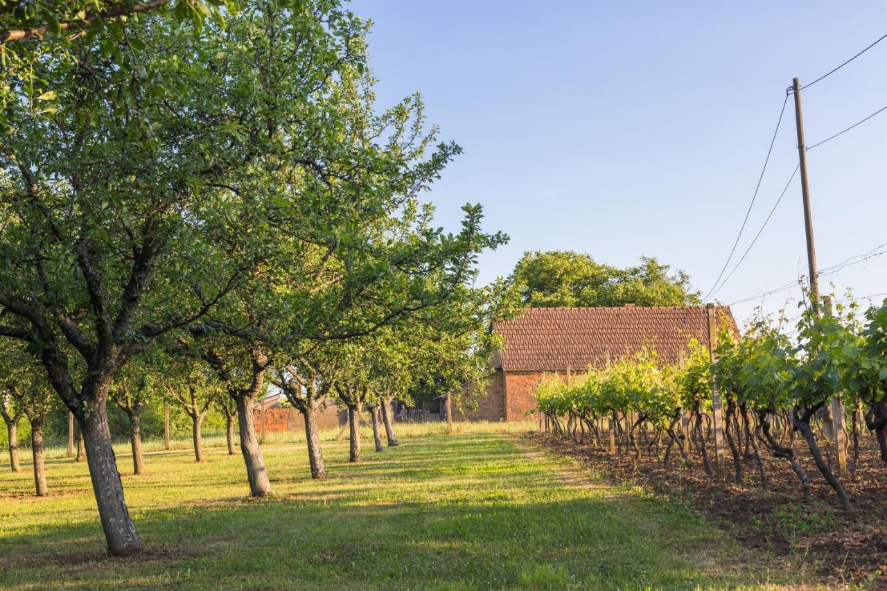 Village Wine House Mandicevac Экстерьер фото