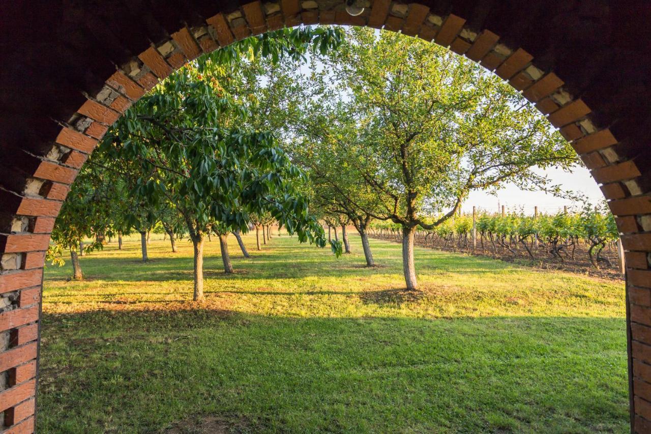 Village Wine House Mandicevac Экстерьер фото