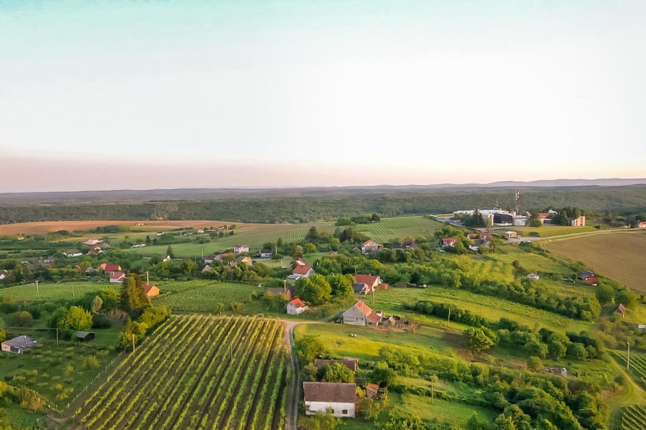 Village Wine House Mandicevac Экстерьер фото