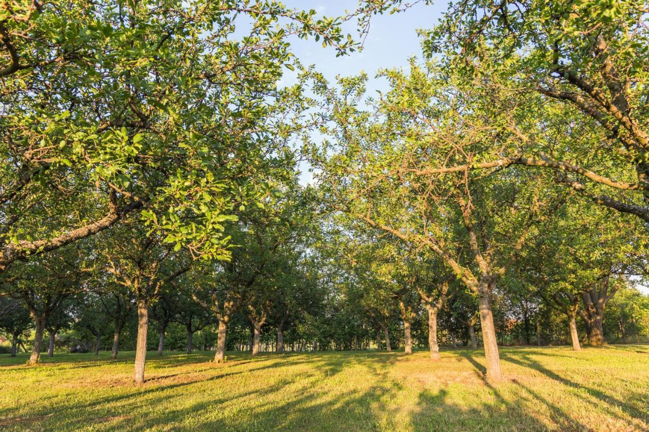 Village Wine House Mandicevac Экстерьер фото