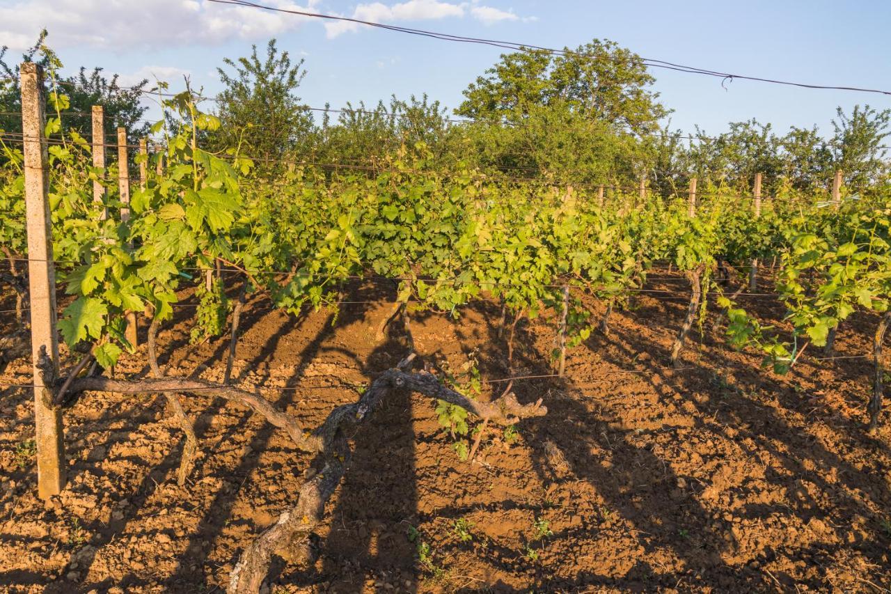 Village Wine House Mandicevac Экстерьер фото