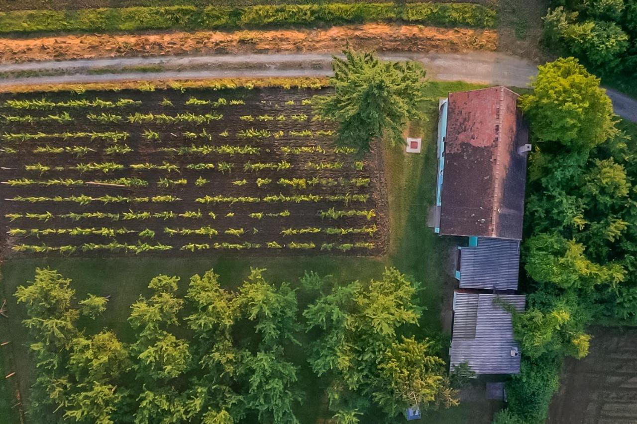 Village Wine House Mandicevac Экстерьер фото
