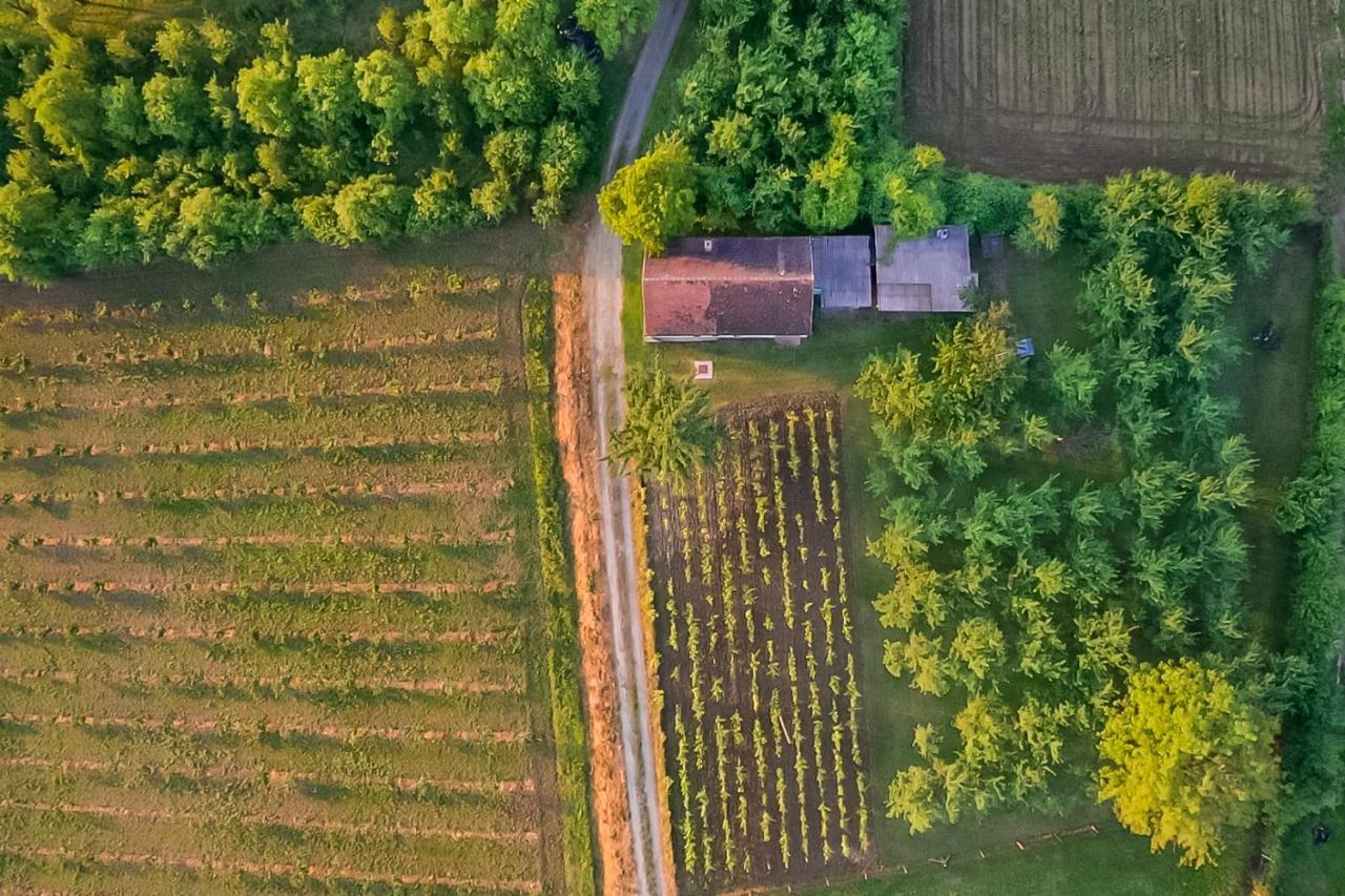 Village Wine House Mandicevac Экстерьер фото