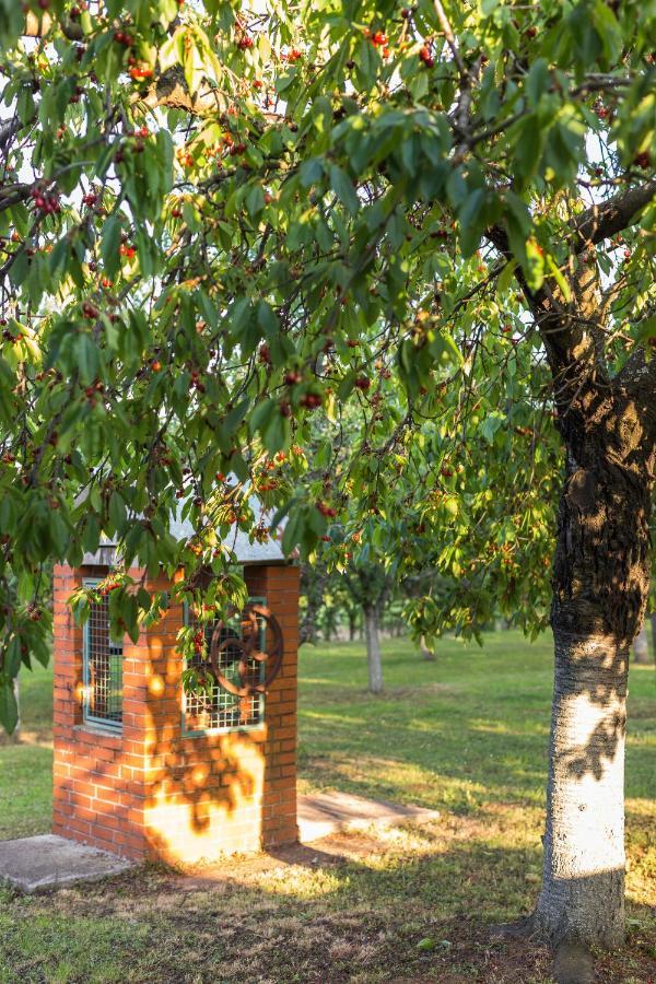 Village Wine House Mandicevac Экстерьер фото