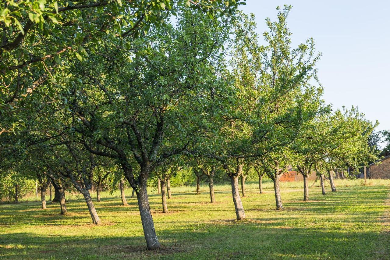 Village Wine House Mandicevac Экстерьер фото