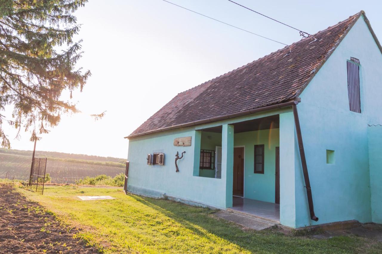 Village Wine House Mandicevac Экстерьер фото