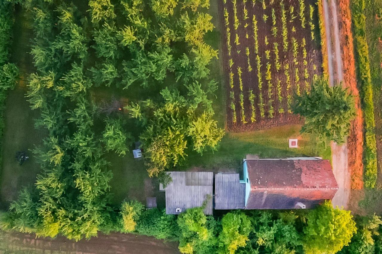 Village Wine House Mandicevac Экстерьер фото