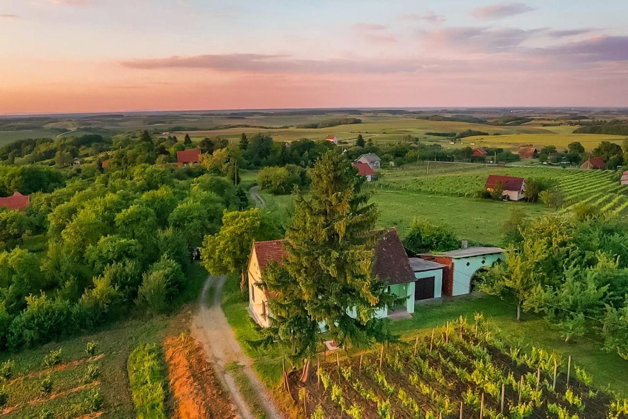 Village Wine House Mandicevac Экстерьер фото