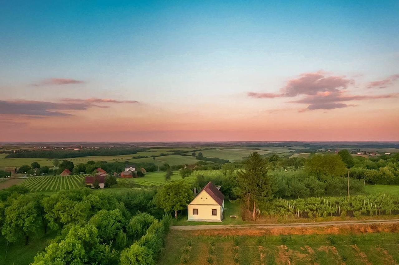 Village Wine House Mandicevac Экстерьер фото