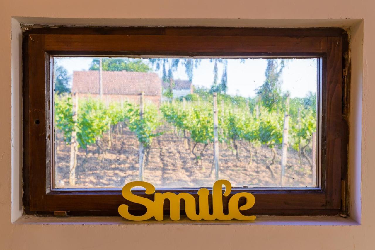 Village Wine House Mandicevac Экстерьер фото
