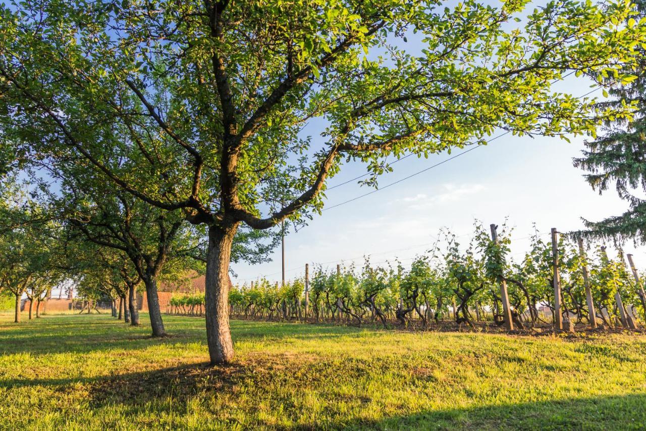 Village Wine House Mandicevac Экстерьер фото