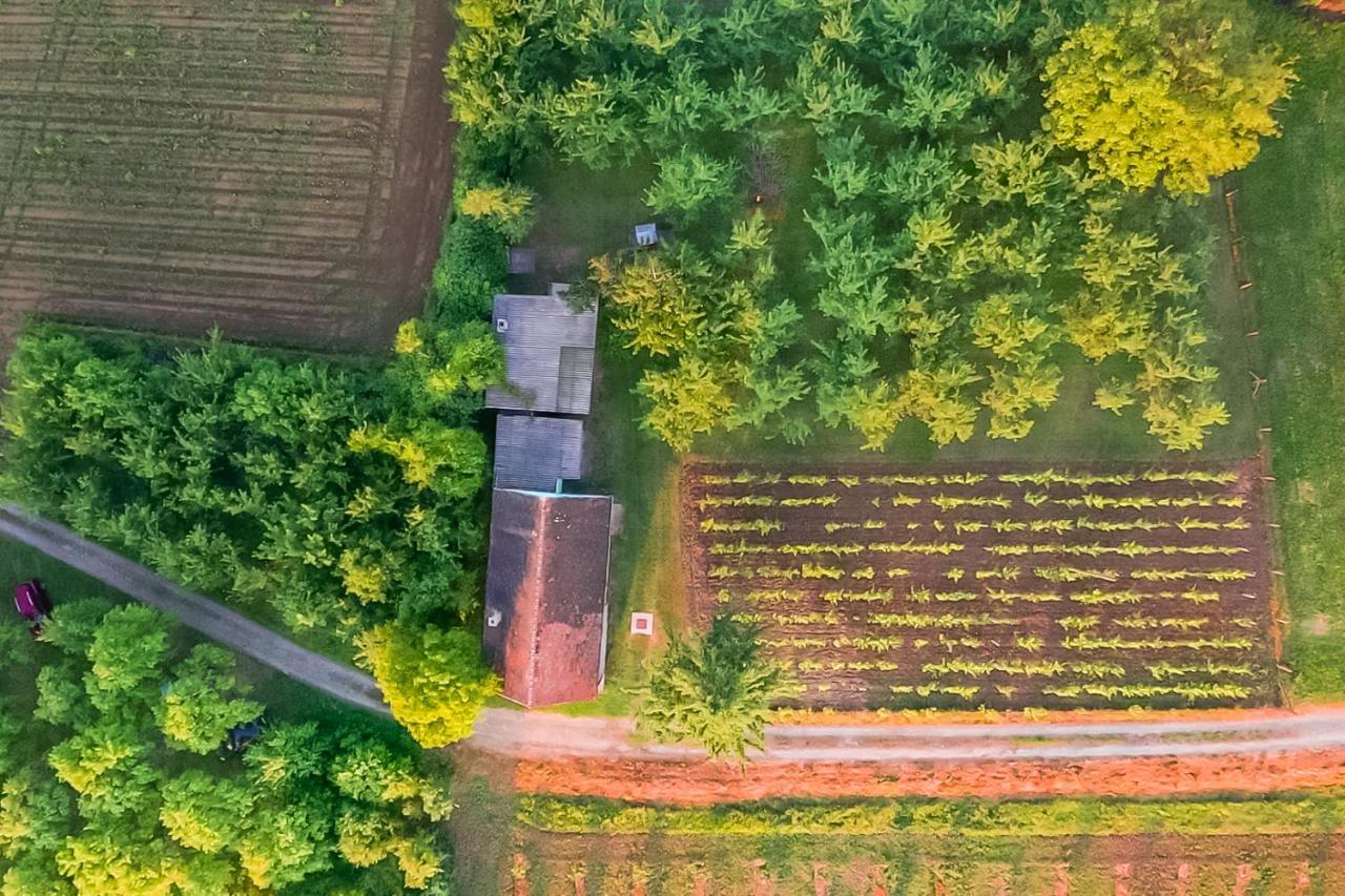 Village Wine House Mandicevac Экстерьер фото