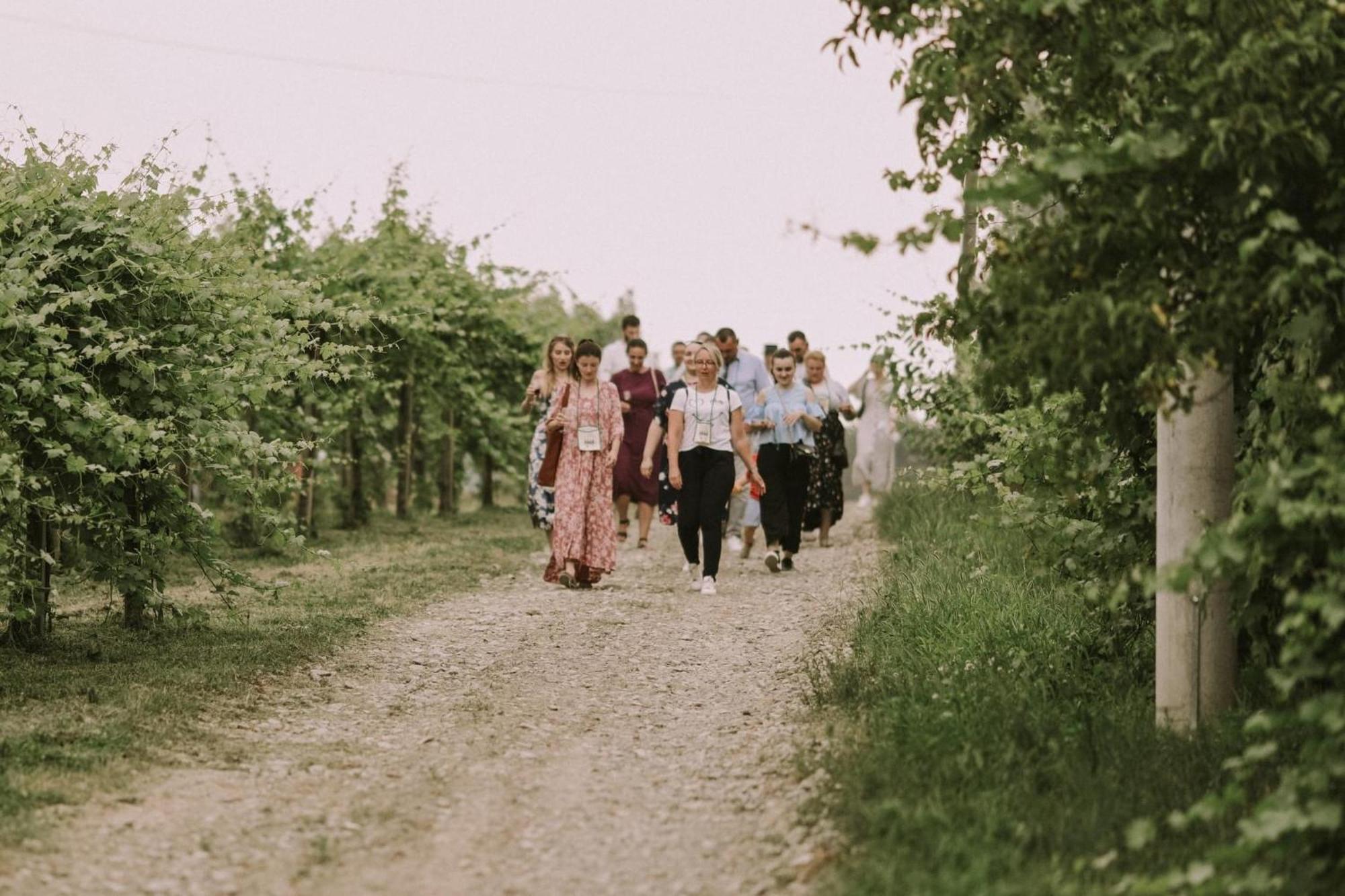 Village Wine House Mandicevac Экстерьер фото